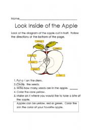 apple diagram