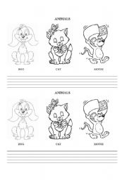 English Worksheet: Dog, cat and mouse