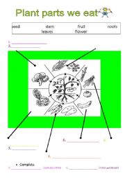 English Worksheet: PLANT PARTS WE EAT