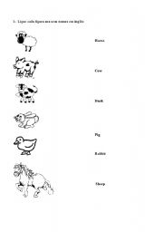 English worksheet: Amimals