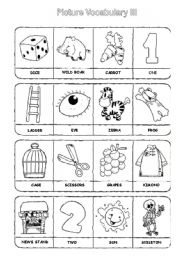 Picture Vocabulary III