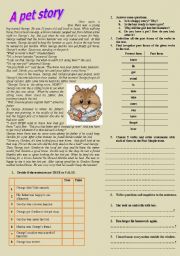 English Worksheet: A pet story