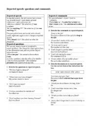 English Worksheet: reported speech