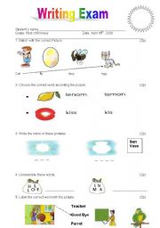 English Worksheet: English Exam for elementary school