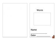 English worksheet: Worm profile Year 1-2