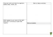English Worksheet: Worm profile Year 3