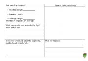 English worksheet: Worm profile Year 4-7