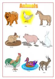 English worksheet: Animals