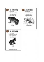 English worksheet: Amphibian descriptions