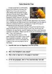 English Worksheet: Koala Saved By Tree