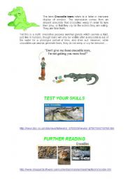 English worksheet: Australia and crocodiles (Part II)