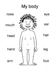 English Worksheet: Parts of the body