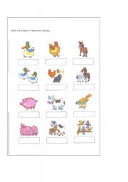 English worksheet: FARM ANIMALS