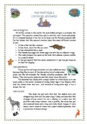 English Worksheet: FUN FACTS 2 - UNUSUAL ANIMALS 1/3