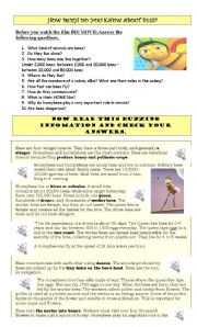 BEE MOVIE GUIDE AND ACTIVITIES