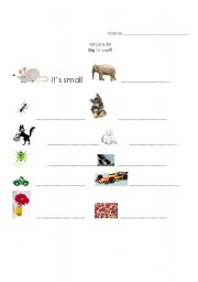 English Worksheet: Big or small?