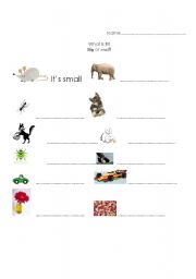 English worksheet: Big or small?