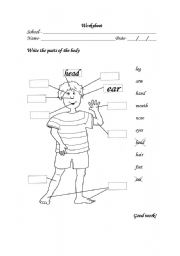 English Worksheet: Parts of the body