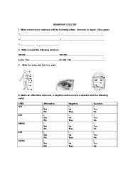 English Worksheet: ELEMENTARY LEVEL TEST