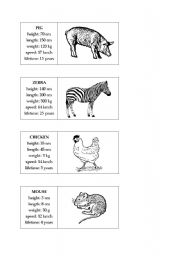Animal Activity Cards 3 - Comparative