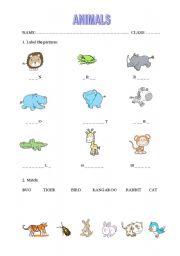 English worksheet: ANIMALS