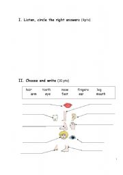 English worksheet: body parts, numbers, animals, school things