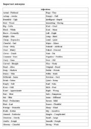 English Worksheet: The important antonyms