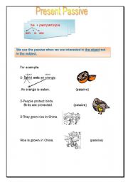 English Worksheet: Present Passive