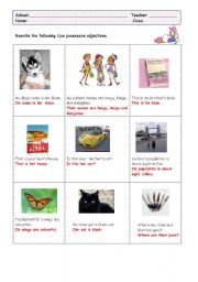 English Worksheet: Possessive Adjectives