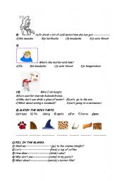 English worksheet: continuation of the exam