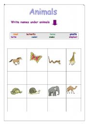 English worksheet: Animals 