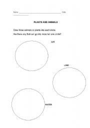 English Worksheet: Plants and animals