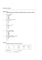 English worksheet: DO AND DOES TEST