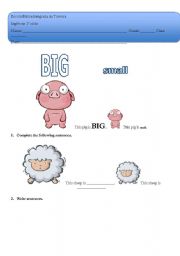 English worksheet: Animals- size I