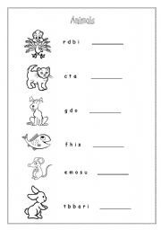 English worksheet: Animals