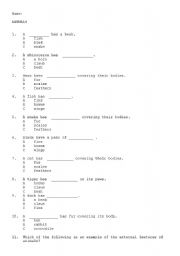 English worksheet: Animals External Features