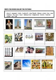 English worksheet: vocabulary