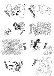 English Worksheet: The insects