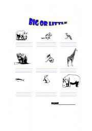 English worksheet: Big or Little