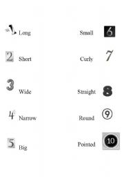 Physical Descriptions Lexicon Mini Flashcards