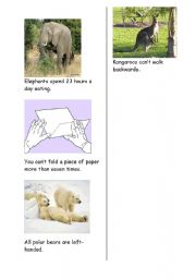 English Worksheet: strange facts 2