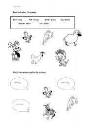 English worksheet: Animals