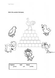 English worksheet: Animals