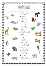 English Worksheet: animals