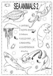 English Worksheet: SEA ANIMALS 2