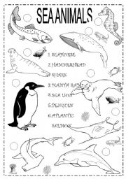 English Worksheet: SEA ANIMALS 