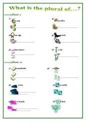 English Worksheet: What is the plural of...?