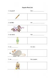 English worksheet: Singular Plural Quiz