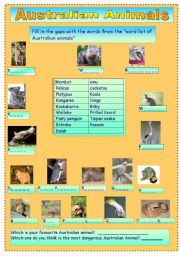 English Worksheet: Australian Animals