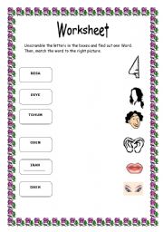 English worksheet: parts of the face